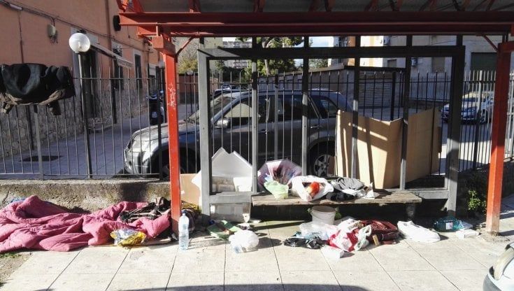 Via Pitrè, clochard ha per casa una pensilina dell'Amat: "Ha bisogno di aiuto"