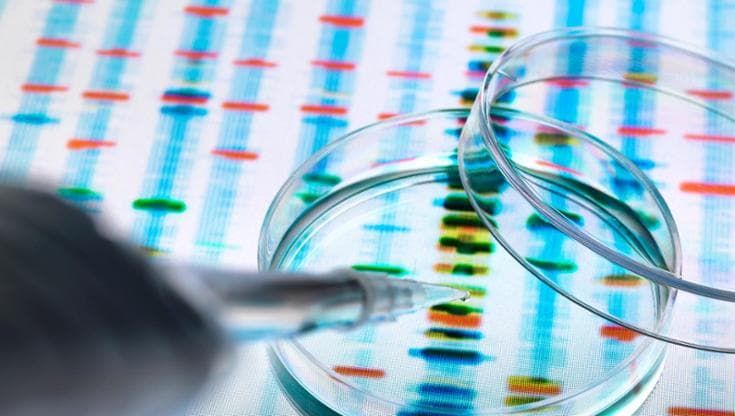 Medicina di precisione, 50 mila pazienti oncologici l’anno candidati a terapie su misura
