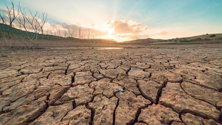 Transizione green, aumentano gli asset owner che integrano i temi legati al clima nelle loro strategie