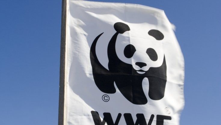 Wwf e Sofidel, 15 anni di storia