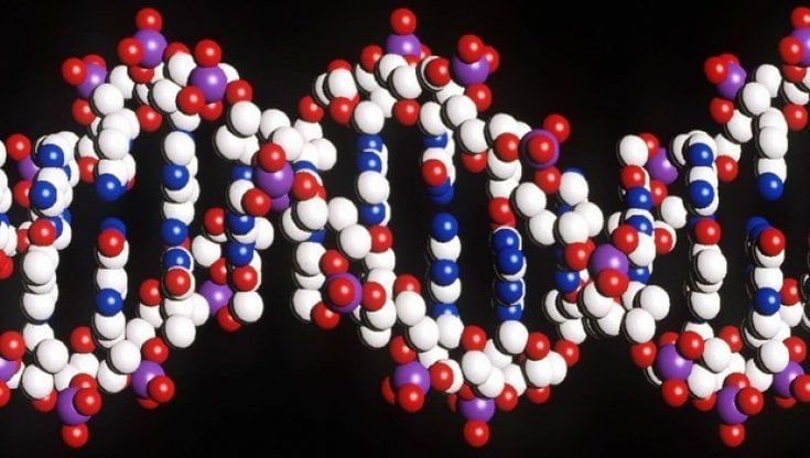 Traguardo per la medicina del futuro: completata la mappa del genoma umano
