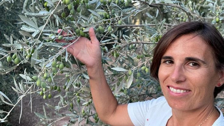 A Villacidro il primo olio bio della Sardegna. “L’ulivo porta soddisfazioni, anche economiche”