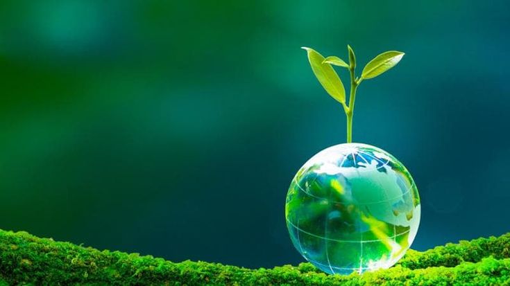 Mondo green: è record d’interesse da parte degli italiani