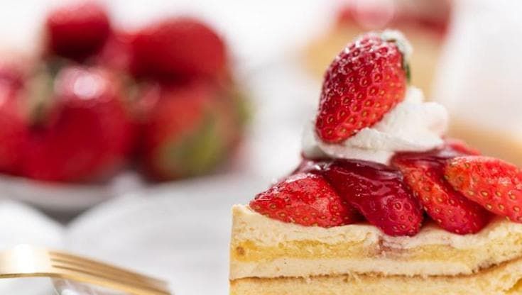 La torta alle fragole per Giorgia Meloni, la diplomazia pop che arriva dal Giappone