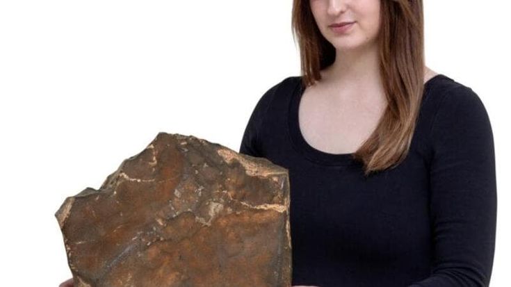 All’asta il più grande meteorite arrivato da Marte. Si parte da 2 milioni di dollari