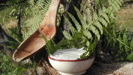Tra Basilicata e Calabria, ecco il Pollino: più che un parco un luogo dell'anima