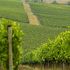 Chianti, Svizzera, Norvegia. Europa on the road
