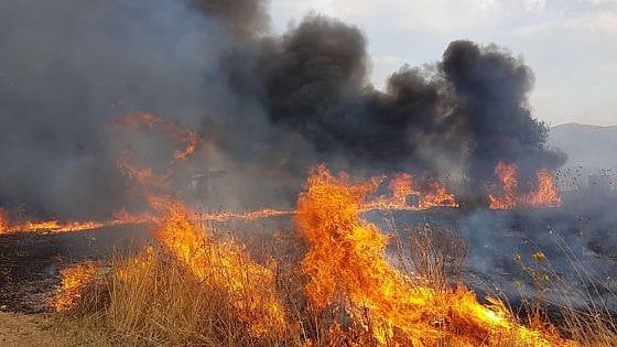 Prevenzione in ritardo e elicotteri a terra: le colpe della Regione sugli incendi