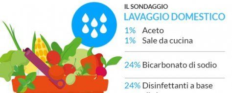 Bicarbonato, aceto o meglio comprarla già in busta? Ecco le regole per lavare l'insalata 