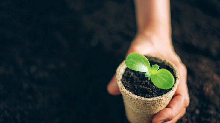 Cdp Venture capital premia sette startup italiane che innovano l'industria agroalimentare