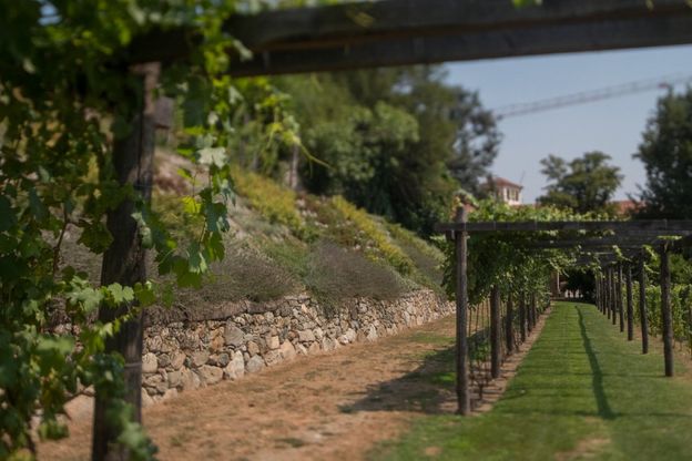 Vistaterra, il progetto di turismo sostenibile che fa rinascere i Vivai di Olivetti