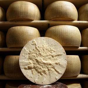 Unesco, Italia candida Parma come città per la gastronomia