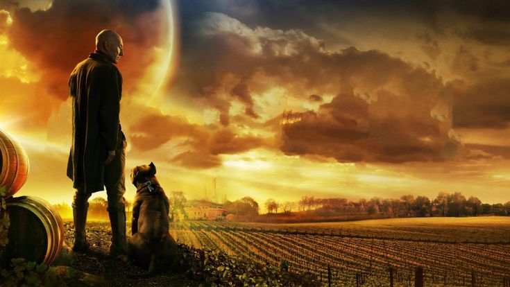 La sfida di Patrick Stewart: "A ottant'anni nello spazio con il mio cane"