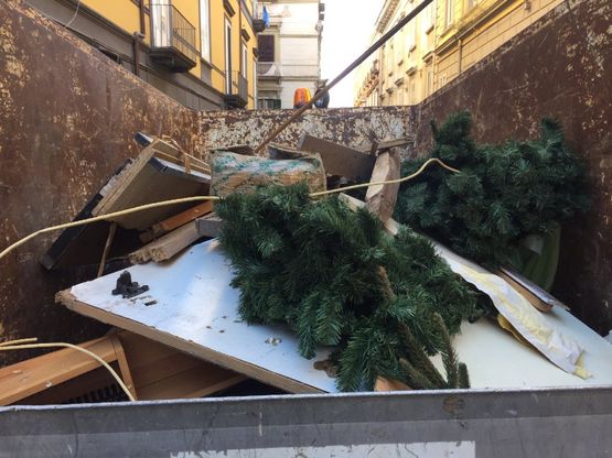 E' caccia alle bande di ragazzini che rubano gli alberi di Natale per i fuochi di Sant'Antonio a Napoli