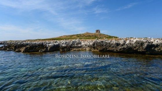 Isola delle femmine in vendita, la Lipu: "E' privata ma è vincolata"