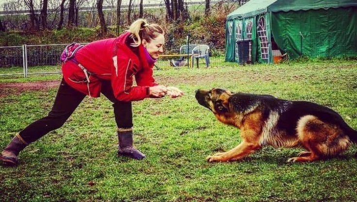 Tenta di salvare i cani, donna di 35 anni muore annegata in un canale nel Pavese