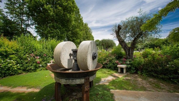 Parma, visite guidate alla scoperta delle aziende alimentari del territorio