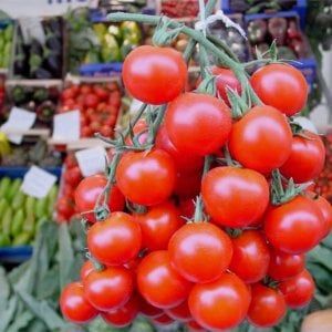 Agricoltura biologica in Sicilia, sbloccati fondi europei per 12 milioni