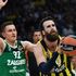 Basket, Eurolega: Datome trascina il Fenerbahce, è finale contro il Real