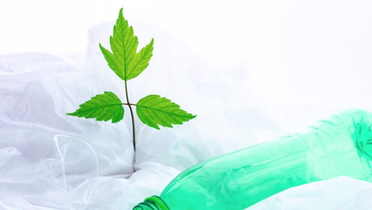 Bioplastiche, sono serbatoi e sorgenti secondarie di inquinanti eterni nell'ambiente