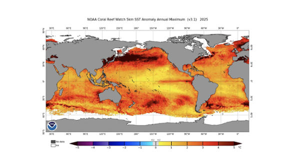 Le temperature oceaniche hanno appena raggiunto un nuovo record allarmante