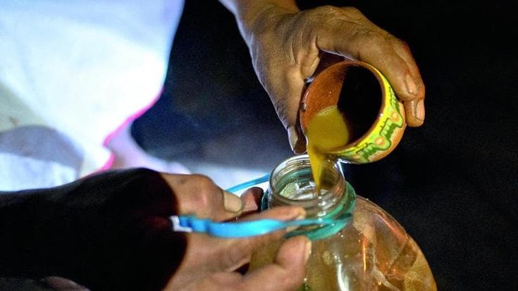 Morte di Alex Marangon, cosa è l’ayahuasca. E perché non deve essere criminalizzata: “Il suo uso è la spia di un diffuso bisogno spirituale”