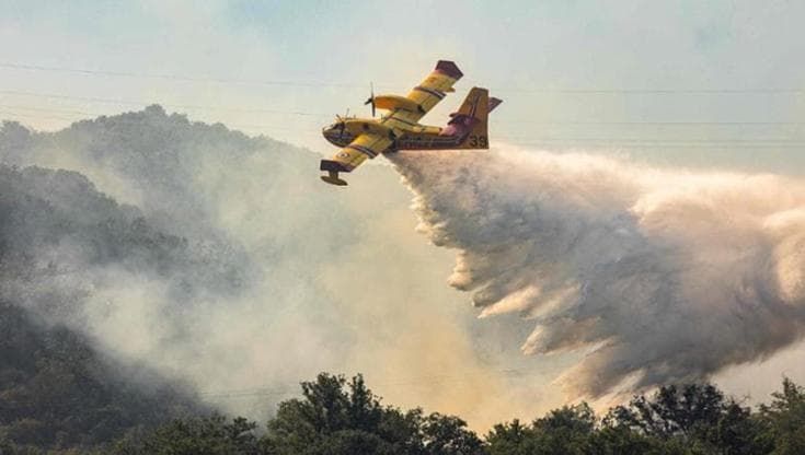 La Puglia brucia, dal 1° giugno distrutti mille ettari. I volontari antincendio: “Stop fra 2 giorni”