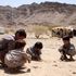 Yemen,  finora oltre mille bambini uccisi o feriti a causa del conflitto