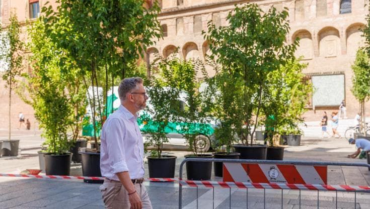 Alberi nelle piazze a Bologna, l’esperimento di Lepore. “È solo il primo passo”
