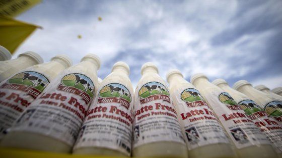 Protesta del latte, l'assessore Ferrero contro la "serrata" di Lactalis