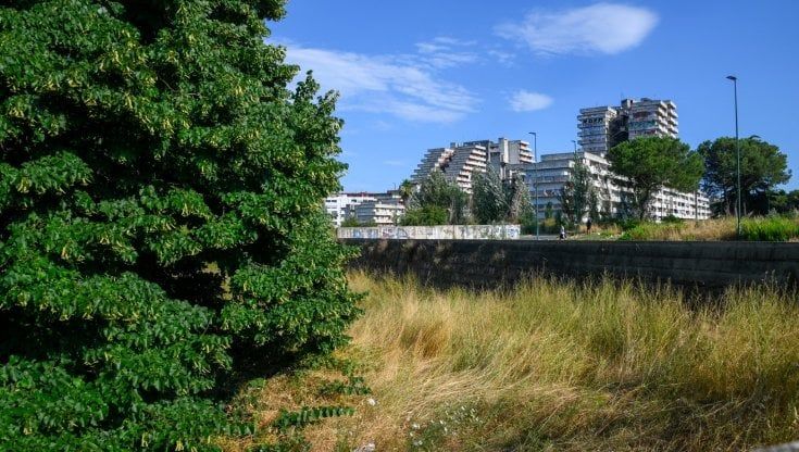 La rivolta di Scampia alle parole dell'ex ministra De Girolamo sulle donne "spacciatrici di utero"