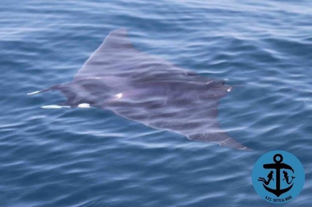 Ostia, incontro emozionante con il "diavolo del mare"