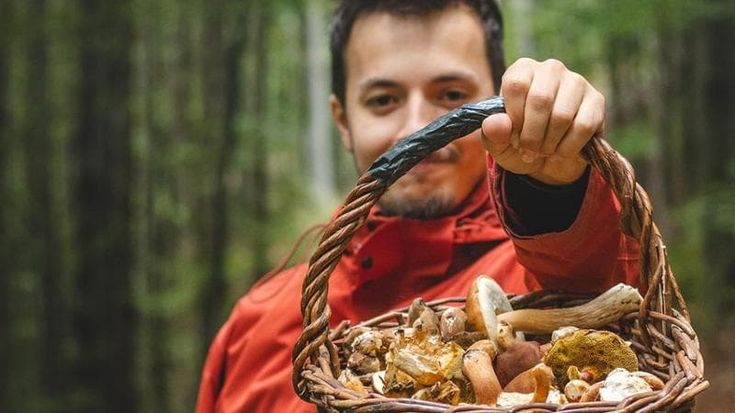 I segreti per diventare un fungaiolo provetto