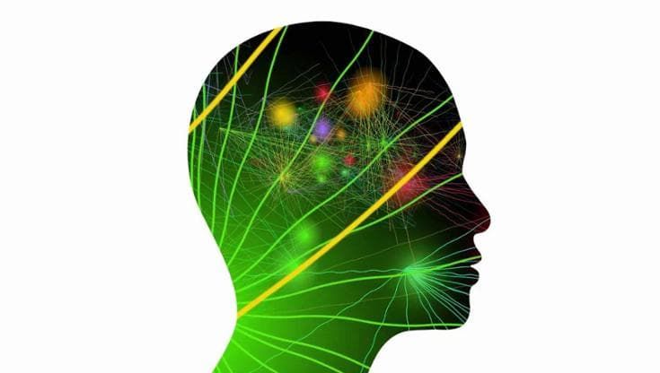Depressione, un composto dell'ayahuasca per contrastarla: lo studio