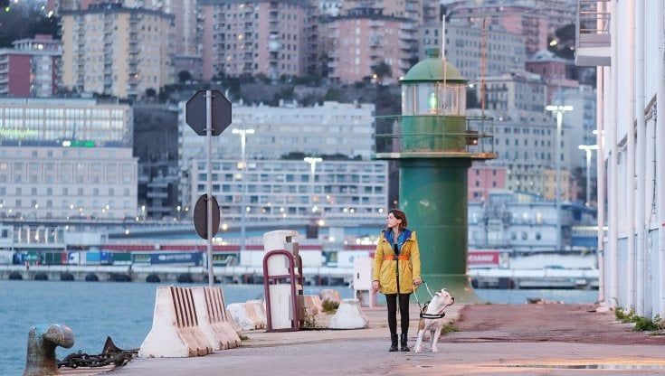 Petra, Blanca e le altre serie, Genova è tutta un set: le novità e le location più gettonate