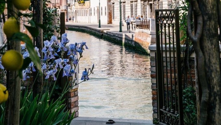 Nel giardino segreto di Venezia, il retreat Madama Garden apre la sua porta d'acqua 