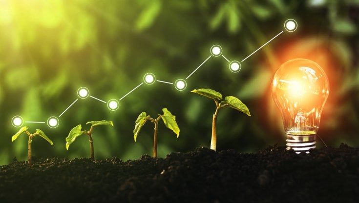 Venture capital, l’Italia non investe in startup impegnate nel climate change