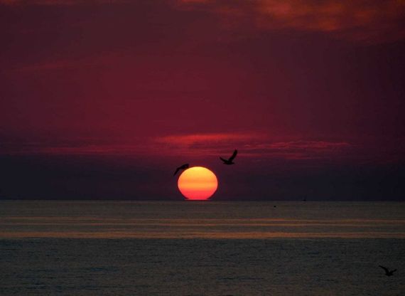 Ischia, a ottobre il tramonto perfetto: sole a picco sul mare tra i gabbiani