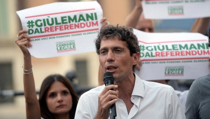 Referendum cannabis, il Cdm proroga il termine per depositare le firme. La Lega non vota
