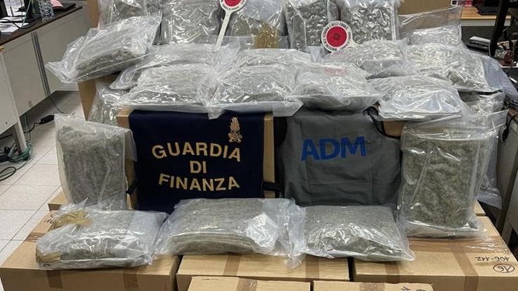 Civitavecchia, intercettato un tir con 200 chili di marijuana: avrebbero fruttato 1 milione di euro