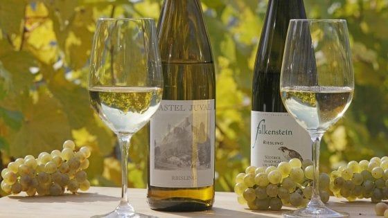 Naturno, tra degustazioni e cene tornano le Giornate del Riesling 