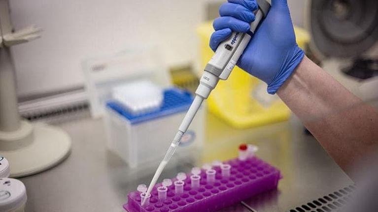 I cambiamenti climatici influenzano le epidemie stagionali