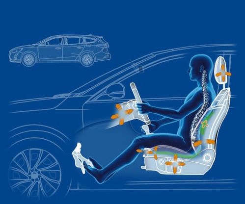 Nuova Ford Focus, mal di schiena addio