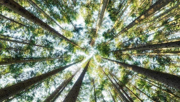 Silva (Generali): "Serve gestire il rischio climatico"