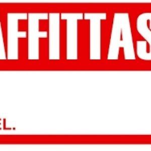 Firenze, "Solo affitti" cerca 51 manager per la Toscana
