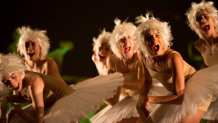 Bolzano Danza rilegge i 'cigni' tra memoria e ricerca del futuro