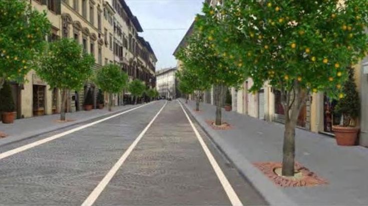 Piante di arancio in via Cavour, crescono i consensi. Anche gli architetti favorevoli al verde
