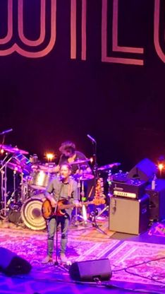 Wilco, il ritorno in Italia della rockband