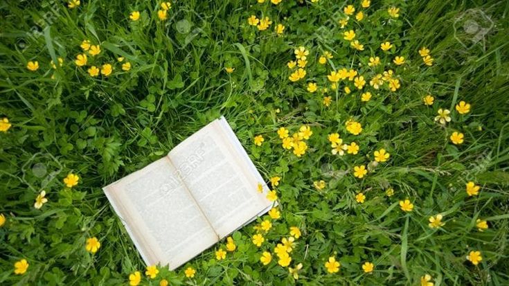 Baci, carezze e anche poesie bisogna recuperare l’inutile che è essenziale all’umanità