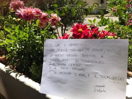 Piante al posto dei corpi: il flash mob delle Sardine